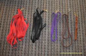 five coiled leashes and lines arranged in a row