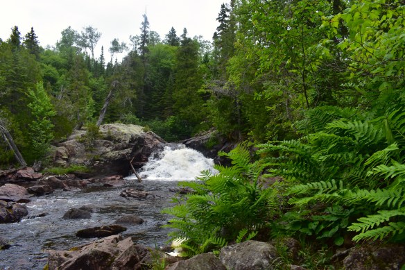 Bright green ferns in the foreground of a waterfall cascading over grey rocks.