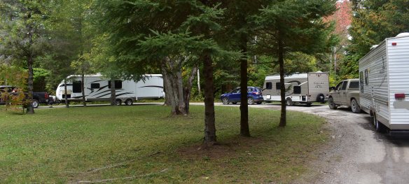 a curved driveway in a field of green grass and pine trees, with three white travel trailers hooked up to family trucks.