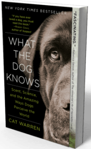 what the dog knows