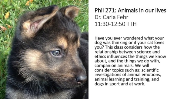 Phil 271 Animals in our lives