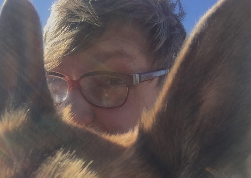 short haired woman looking into from between a german shepherd dog's ears