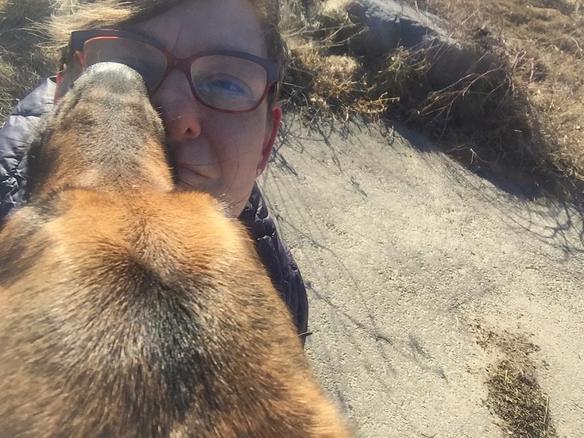 german shepherd with it's back to the camera licking a short-haired woman's face