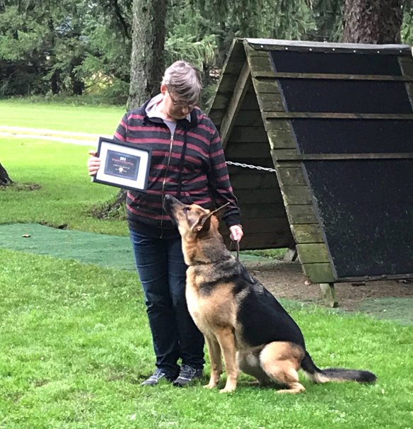 43262174_10157666286587656_6553150994455199744_o